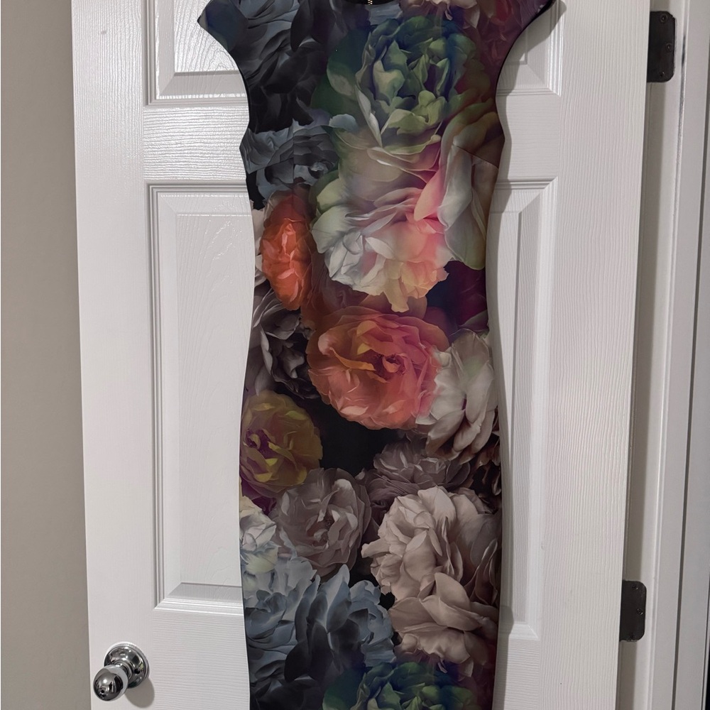 Tes Baker Floral Multicolor Women's Dress